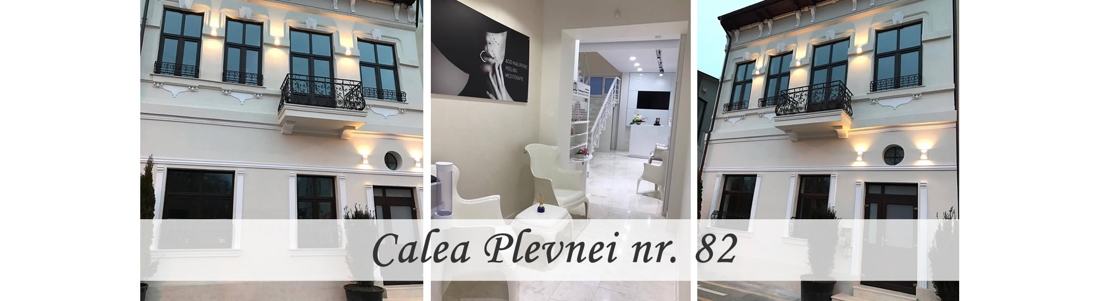 Pagina Lansare